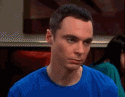 11002_sheldon-hm.