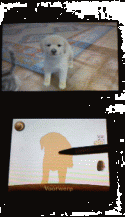 229_Nintendogs.