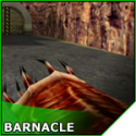 27526_barnacle.
