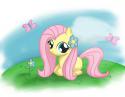400fluttershy_filly__coloured__by_speccysy-d3do108.