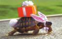 4559_turtle_rabbit.