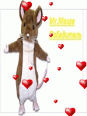 5682_Mr_Mouse_pobeditel.