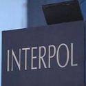 66109_interpol.