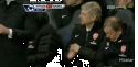 66273_ARSENE.