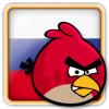 68799_Angry-Birds-Russia-Avatar-1-100x100.