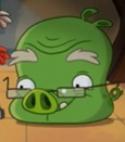 87049_Proff__Pig.