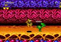 9079_battletoads_nes_screenshot_boot.