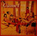 92203_Camel.