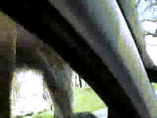 Halloween Prank Goes Wrong