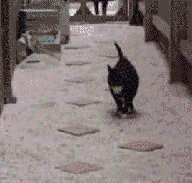 56952_funny-gif-cat-jumping-lava.gif