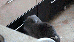 60104_download.gif